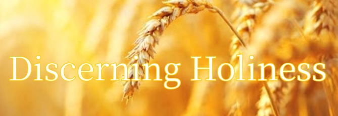 Discerning Holiness