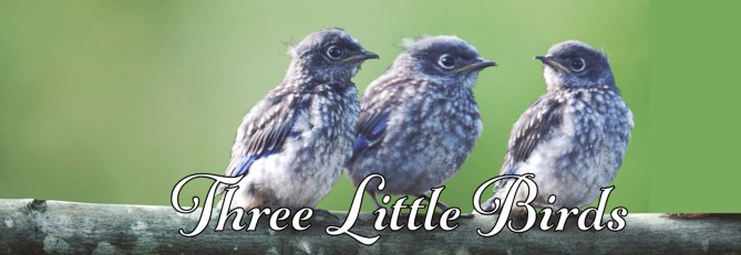 Three Little Birds