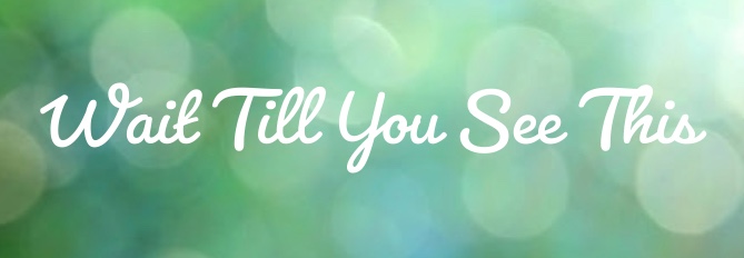 Wait Til You See This